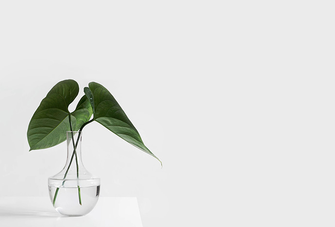 https://unsplash.com/@sarahdorweiler